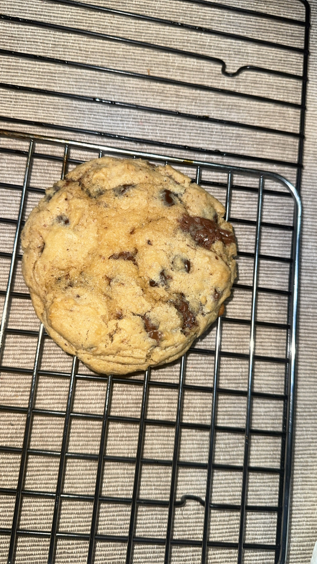 The Signature Cookie Collection: Classic Chocolate Chip