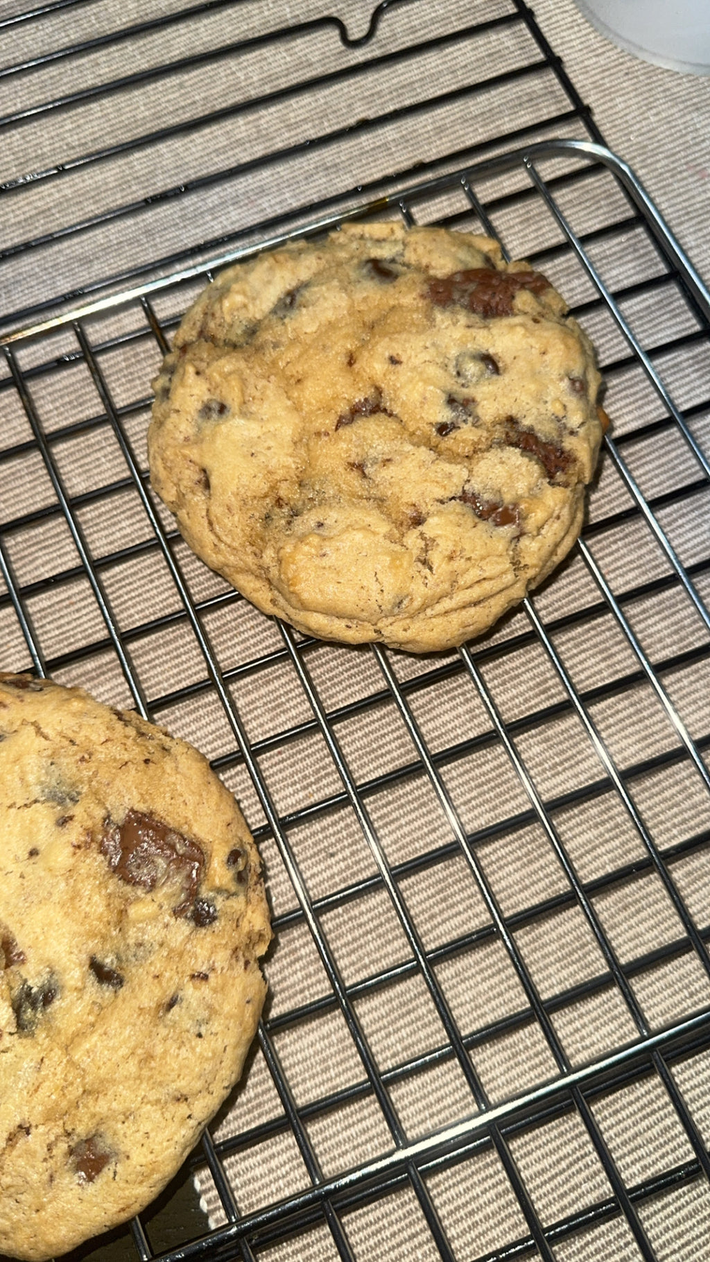 The Signature Cookie Collection: Classic Chocolate Chip