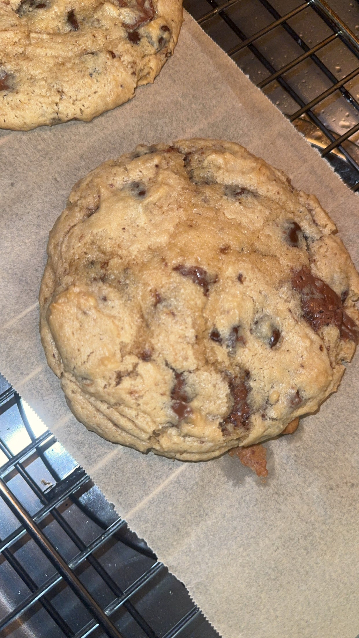 The Signature Cookie Collection: Classic Chocolate Chip
