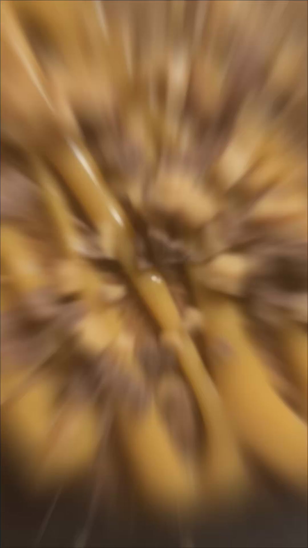 Biscoff Caramel Crunch