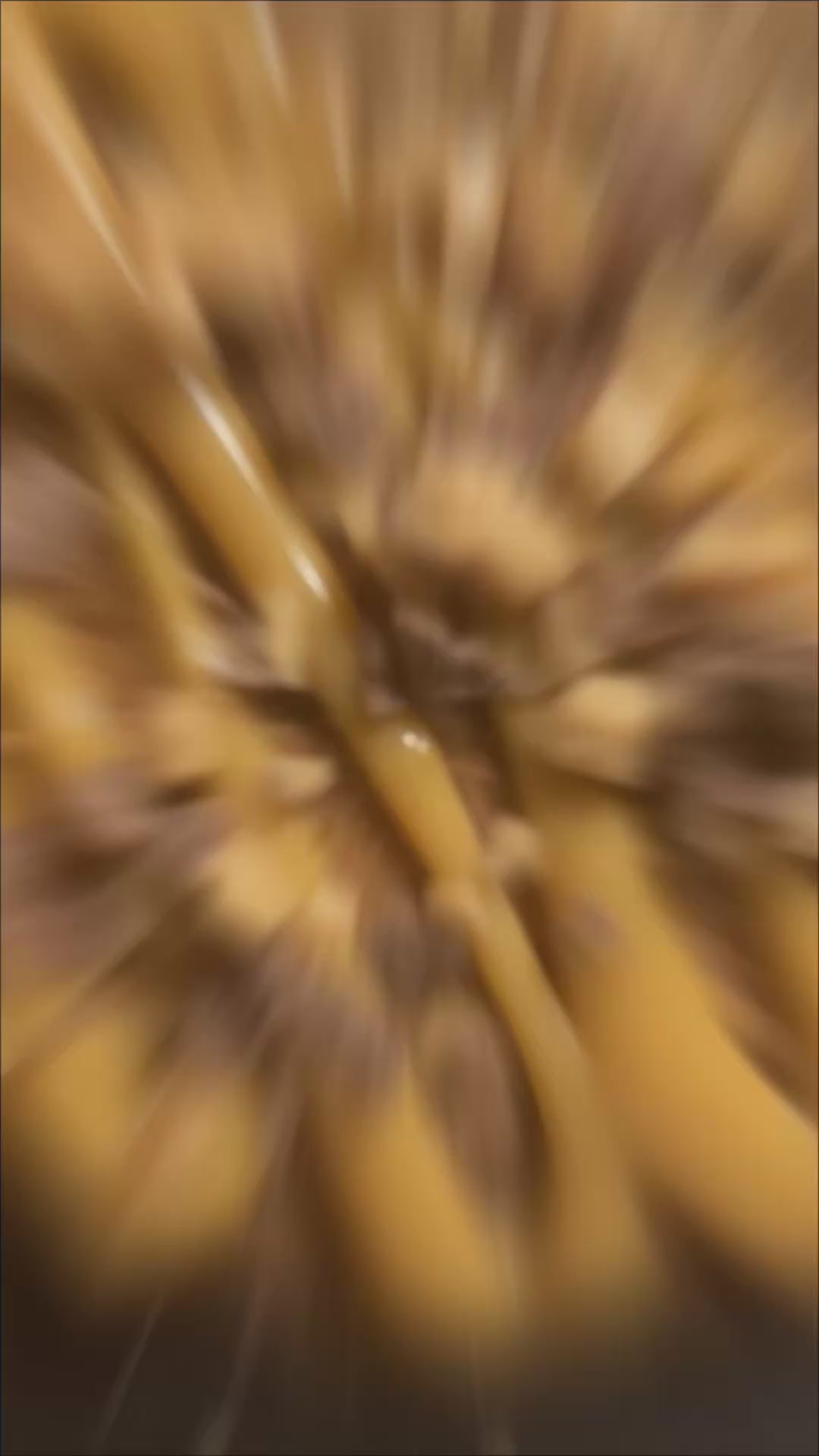 Biscoff Caramel Crunch